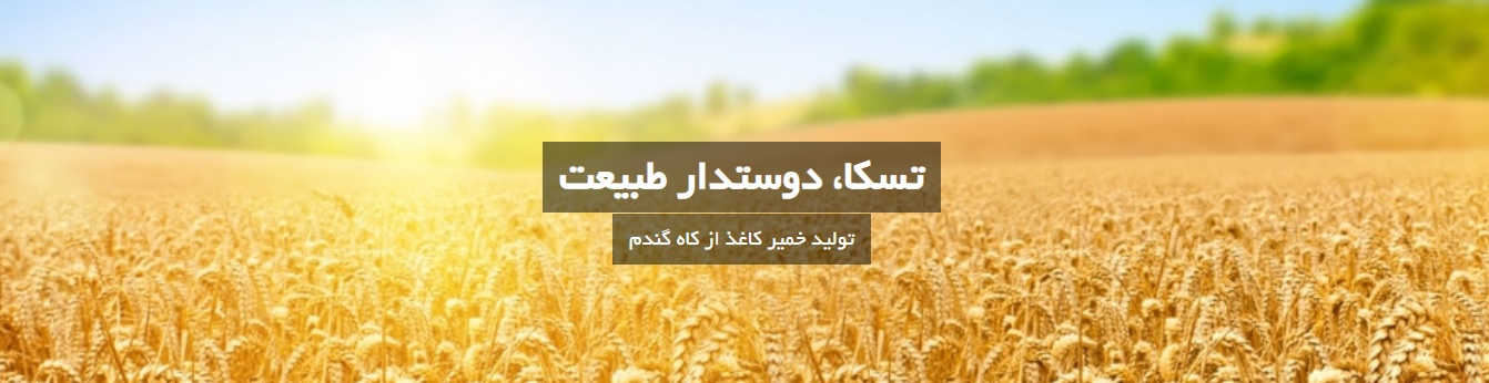 فراوری کاغذ تسکا