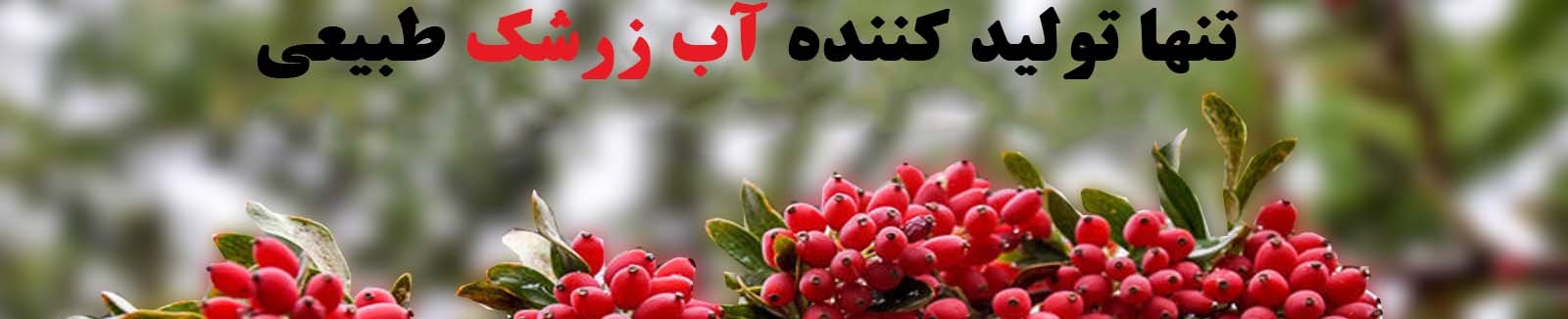کشت و صنعت خوشه سرخ شرق