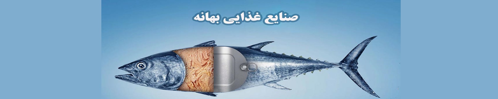صنایع غذایی آماده پز