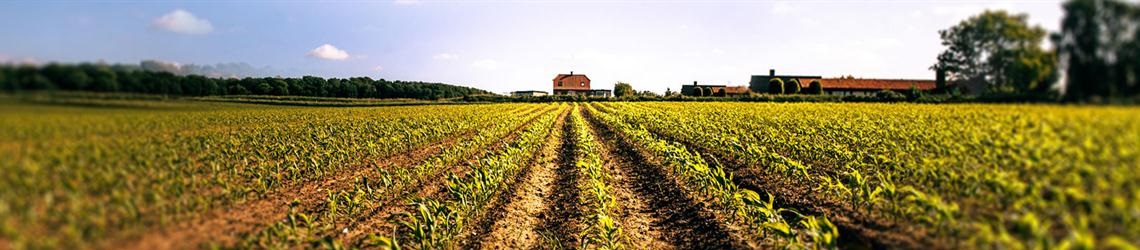 کشت و صنعت و مجتمع گوشت فدک خشکرود